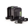 Greenworks Commercial GREEN-GC420 82V 4amp Dual Port Rapid Charger