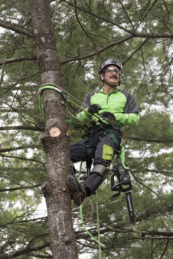 Greenworks Commercial GREEN-48TH12 48V Top Handle Commercial Chainsaw 4.0Ah Kit -Makita Shop Sales 48TH12 IU 2 17048.1623255231