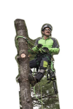 Greenworks Commercial GREEN-48TH12 48V Top Handle Commercial Chainsaw 4.0Ah Kit -Makita Shop Sales 48TH12 IU 3 75702.1623255237